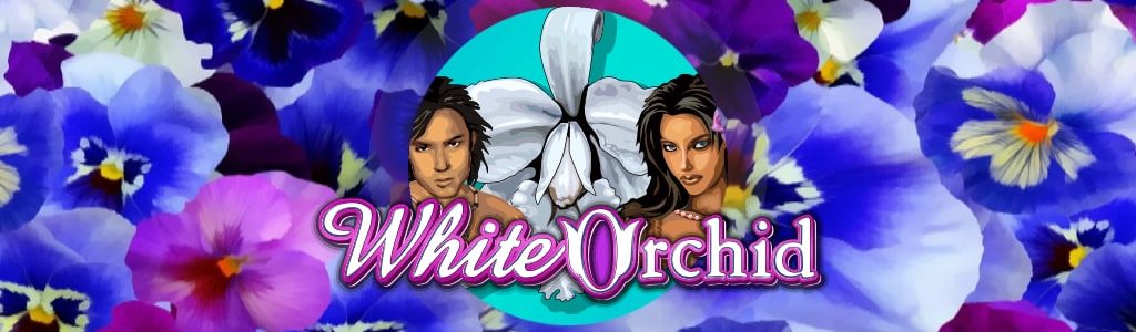 Spielen Online Spielautomat White Orchid kostenfrei - Freispiele, Boni ohne Einzahlung | World Casino Expert Deutschland