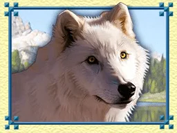 Symbol des Spielautomaten Wolf Run - 3